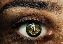 Kto odpowiada za ucznia na lekcji? Kto odpowiada za ucznia na lekcji?