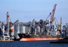 Czy spółkę zoo można mieć samemu? Czy spółkę zoo można mieć samemu?