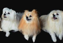 Jak powinien być ustawiony monitor w pracy? Jak powinien być ustawiony monitor w pracy?