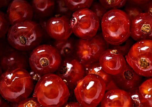 W jakim świetle wygląda się najlepiej?