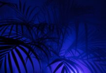 Co oznacza P na studiach? Co oznacza P na studiach?