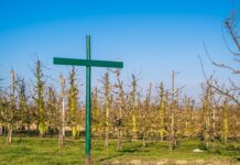 Czy trzeba wprowadzać regulamin pracy zdalnej? Czy trzeba wprowadzać regulamin pracy zdalnej?