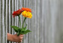 Czy teren szkoły musi być ogrodzony? Czy teren szkoły musi być ogrodzony?