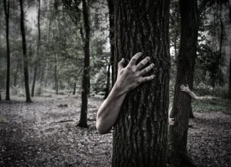 W jaki sposób używa się tzw zombie do łamania zabezpieczeń? W jaki sposób używa się tzw zombie do łamania zabezpieczeń?