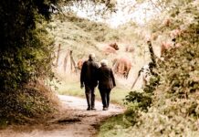 Czy emerytura jest dziedziczna?