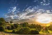 Jak nauczyć się mieć dystans do pracy? Jak nauczyć się mieć dystans do pracy?