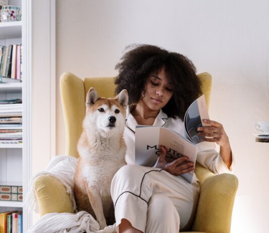 Jak wybrać fotel uszak